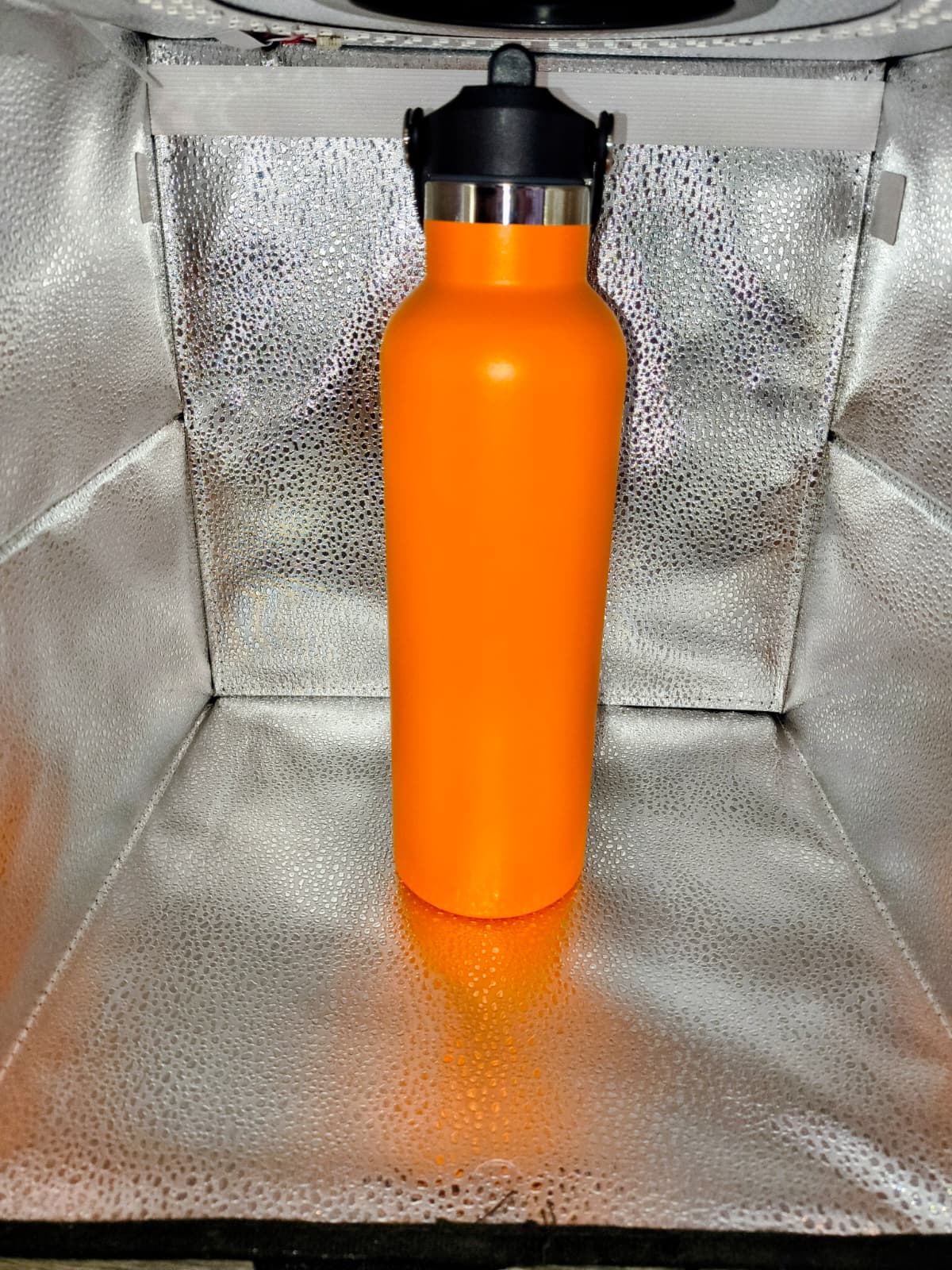 Sports Bottle 24 oz